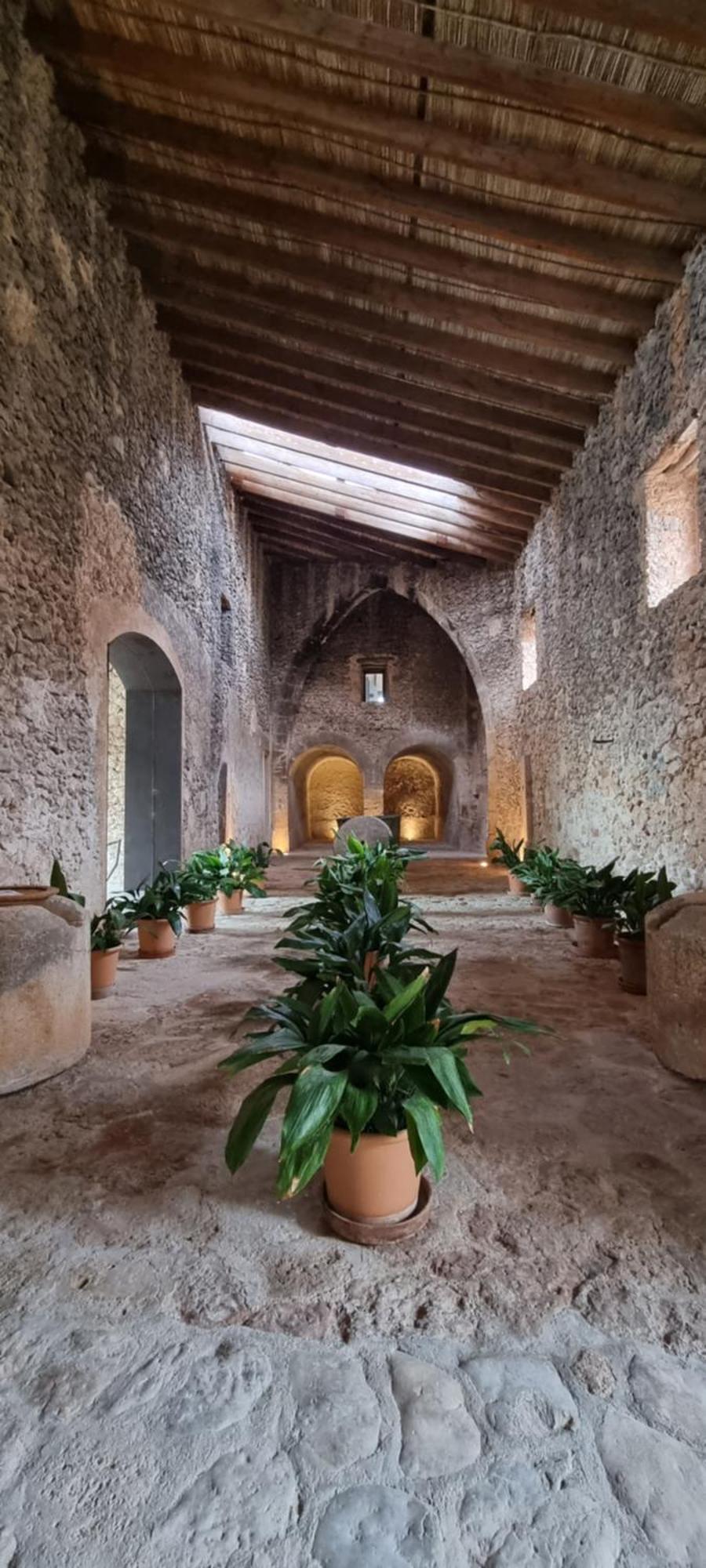 Finca Es Cabas Santa Maria del Cami  Zewnętrze zdjęcie