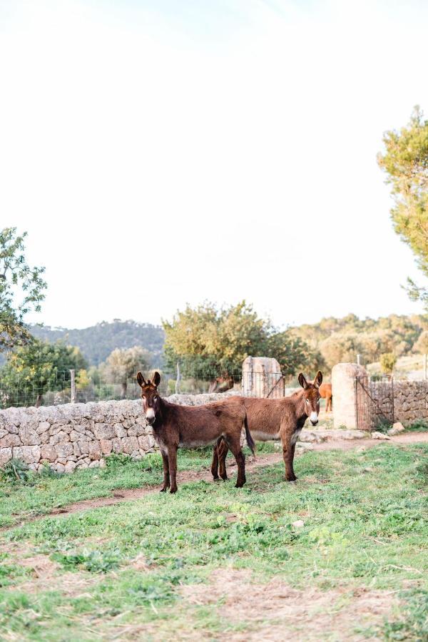 Finca Es Cabas Santa Maria del Cami  Zewnętrze zdjęcie