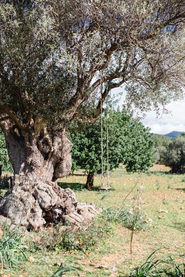 Finca Es Cabas Santa Maria del Cami  Zewnętrze zdjęcie