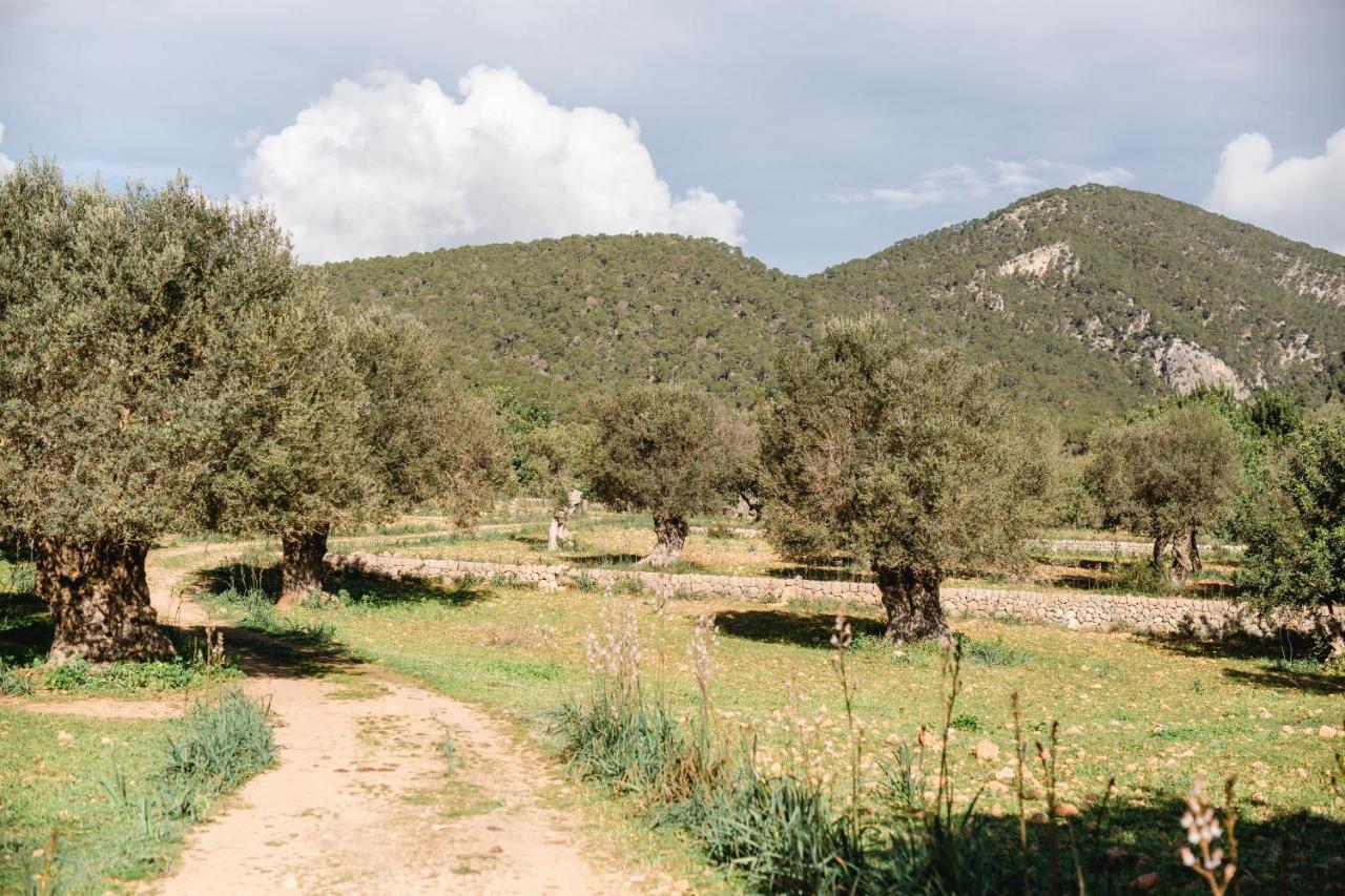 Finca Es Cabas Santa Maria del Cami  Zewnętrze zdjęcie